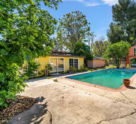 Backyard / pool area